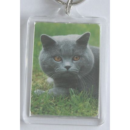 CAT BREED KEY RINGS QUALITY ACRYLIC DOUBLE SIDED PHOTO KEY RINGS 8 BREEDS