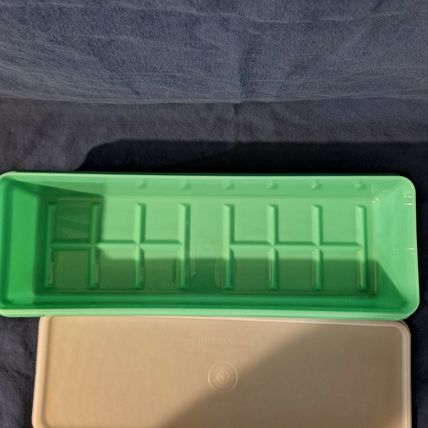 Vintage TUPPERWARE CELERY KEEPER Holder Vegetable Crisper 892 Container Canister