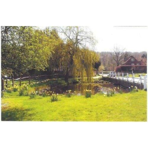 Hedgerley, Buckinghamshire - Village Pond - local postcard c.1990s