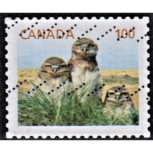 CANADA, 2014 'P' Juvenile Wildlife, SG 2706d (Scott #2710), used