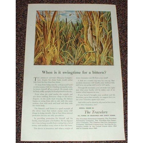 1948 Travelers Insurance Ad, American Bittern NICE!!