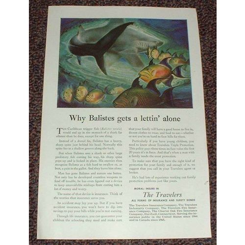 1948 Travelers Insurance Ad, Trigger Fish Balistes!!