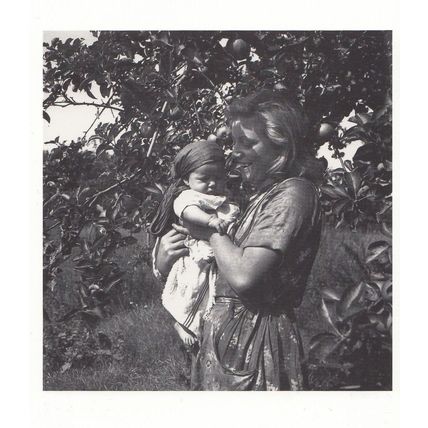 Plum Trees Saving Preservation Crop 1942 WW2 Photo Postcard