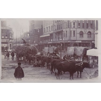 Sapsco African Antique Real Photo Postcard