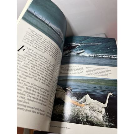 National Geographic Magazine October 1985 Arabia's Trail - Vintage Collectable