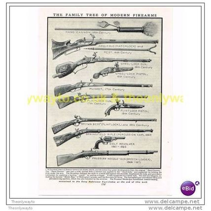 FAMILY TREE OF MODERN FIREARMS, Book Illustration, c1925