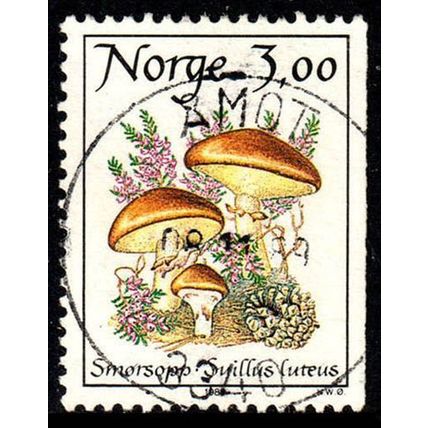 Norway 1989 Mushrooms 3,00Kr Used Stamp #2