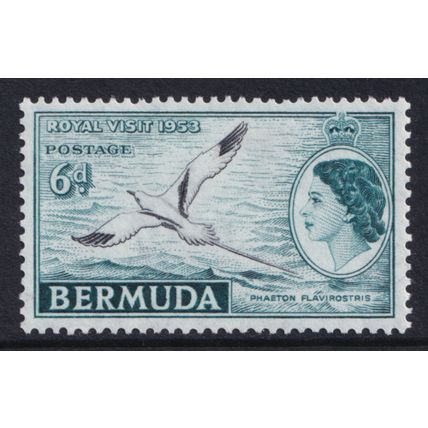 Bermuda QEII 1953-62 6d Black Deep Turquoise Bird SG143 Mint MH