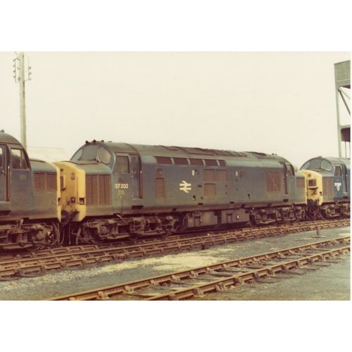 Railway Photo BR Class 37 37202 Immingham Depot 1977 Diesel Loco Shed