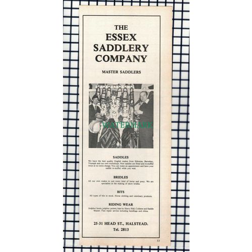 The Essex Saddlery Company Halstead Essex - 1976 Advert / Print