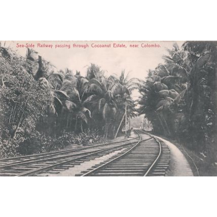 Sea Side Railway Via Cocoanut Estate Colombo Postcard