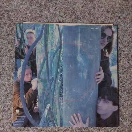 Immaculate Fools – Save It (AMY289) 1985 (12" Single)