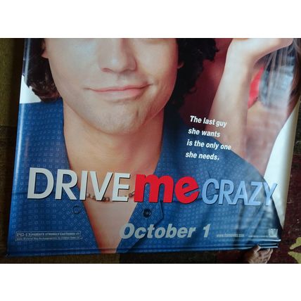DRIVE ME CRAZY - MOVIE BANNER WITH MELISSA JOAN HART AND ADRIAN GRENIER-VINYL