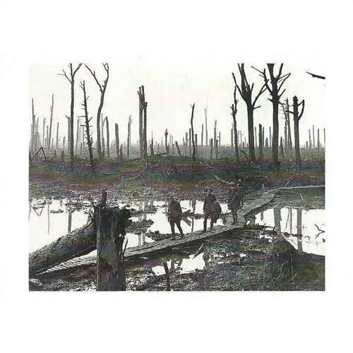 E(Aus) 1220: Australian troops walk along duckboards, Chateau Wood.