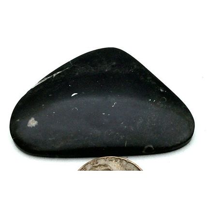 Black Septarian Freeform Gemstone Cabochon 469