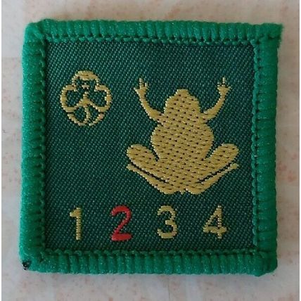 SWIMMING Brownie Girl Guide Sash Patch Interest Badge Swim Stage 2