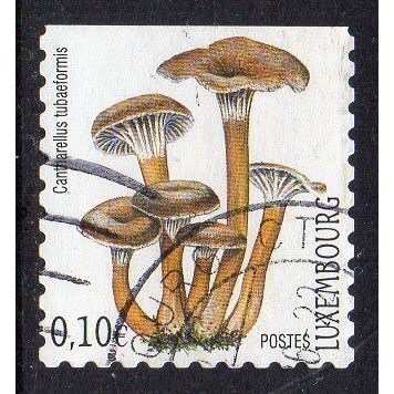 Luxembourg 2004 Mushrooms - Funnel Chanterelle 0,10€ Used