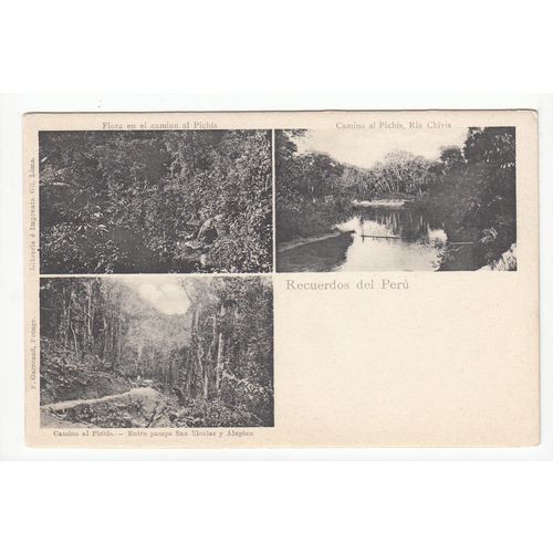 Recuerdos del Peru Postcard Early Undivided Back 31483