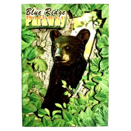 Blue Ridge Parkway North Carolina with Blackbear Artwood Fridge Magnet
