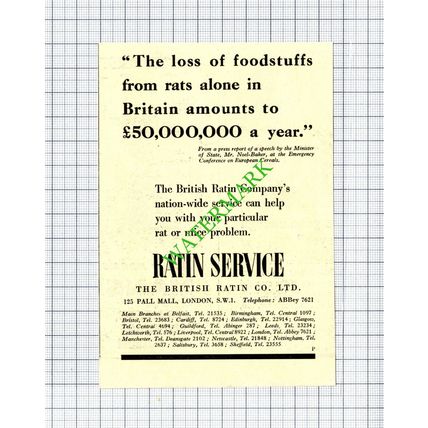 The British Ratin Co Ltd London Small Advert - c.1946 Cutting