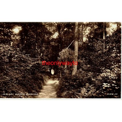 In Glory Woods, Dorking, Surrey, RP Valentines, Postcard, 1940s?