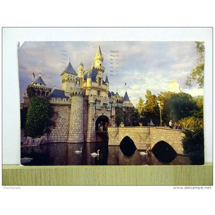 Swans In Moat, Sleeping Beauty Castle, Florida, USA 1980s, Postcard