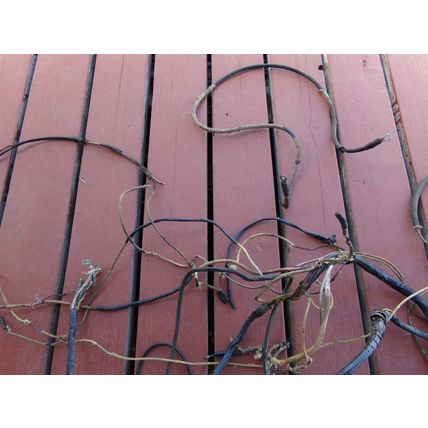1955 DeSoto Under Dash Wiring Harness OEM Maybe Engine