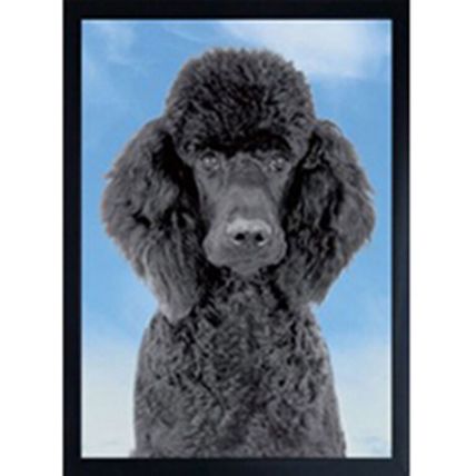 BLACK POODLE 3D FRIDGE MAGNET Great Christmas stocking filler