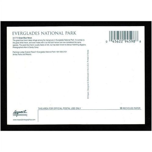 GREAT BLUE HERON - EVERGLADES NATIONAL PARK - No 21773 - UNUSED