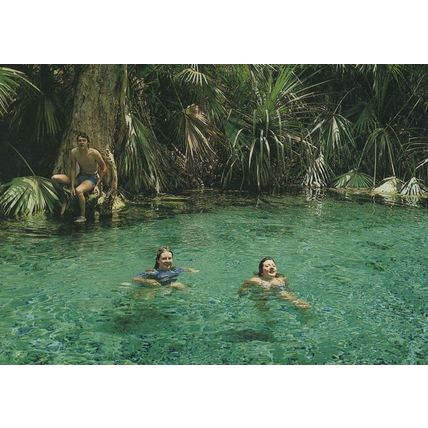 Giggling Girls Swimming in Mataranka Thermal Pool Australia Postcard