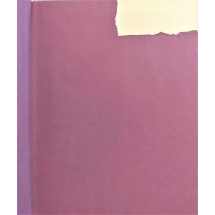LOST GARDENS OF GERTRUDE JEKYLL by FENJA GUNN 1st EDITION HCDJ ILLUSTRATED