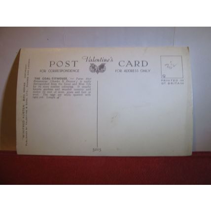 COAL TIT-MOUSE by Winifred Austen unused postcard by Valentine bird series #