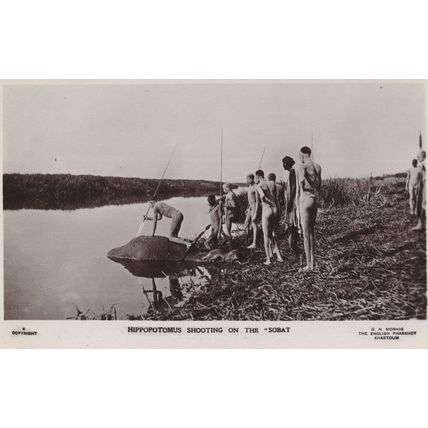 Hippopotamus Shooting On the Sobat Egypt Hunting Old Postcard