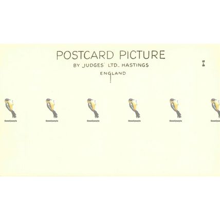 Ship Inn, Porlock, Somerset, 9426 Judges's Postcard