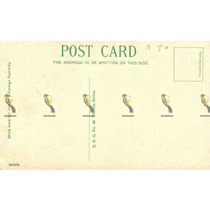 Empress Ballroom, Winter Gardens, Blackpool, ERG No 39, Rare Postcard, 1900s