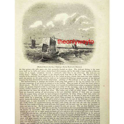 Mackerel Boats Fishing In Hastings Bay, Book Illustration (Print), 1837