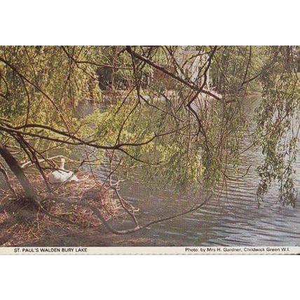 St Pauls Walden Bury Lake Swans Herts Hertfordshire Womens Institute Postcard