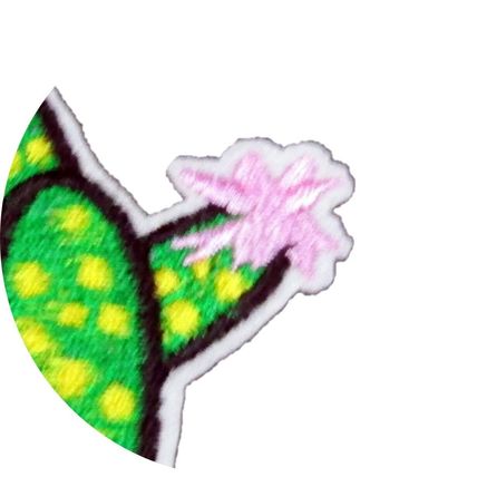 Cactus Iron On Patch Motif Decoration Badge Kids Child Children Cacti Fun P474