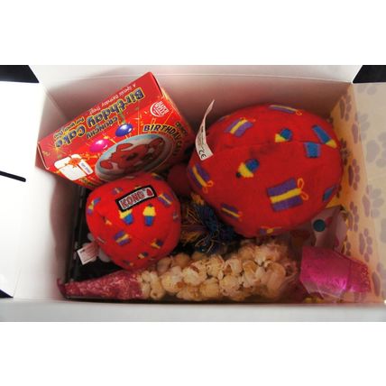 DOG GIFT BOX WITH DOG BANDANA BIRTHDAY BALLOON TOY POPCORN & DOG BIRTHDAY CAKE