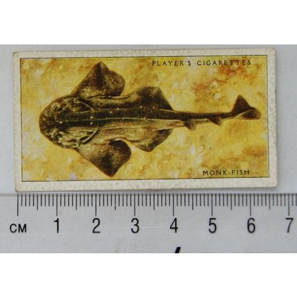 1935 Players Sea Fishes No. 7 Monk-fish
