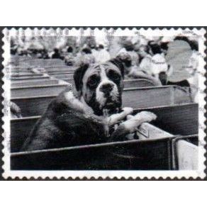 2001 Cats And Dogs.1st Value. Boxer at Dog Show.. Very Fine Used