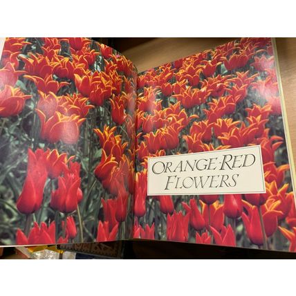 1990 "FLOWERS IN COLOUR" GARDEN FLOWERS LARGE HEAVY 1.9kg HARDBACK BOOK (P8)