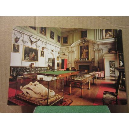 THE SALOON, CALKE ABBEY, DERBYSHIRE unused postcard National Trust =