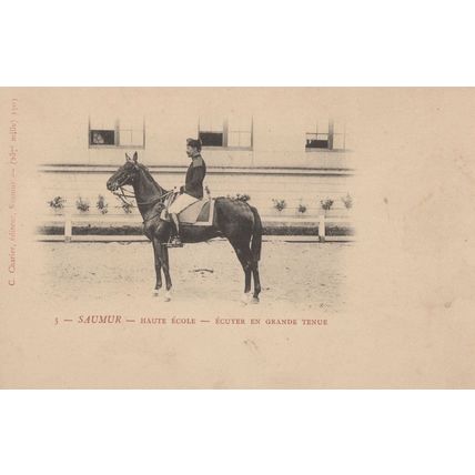 Saumer Haute Ecole Antique Horse Military Rider French Postcard
