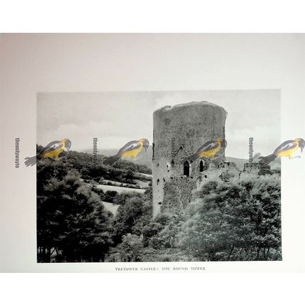 Brecon Castle & Tretower Castle Round Tower, Book Illustration (Print) 1926