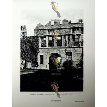 Raglan Castle Fountain Court & Water Gate, Book Illustration (Print) 1926