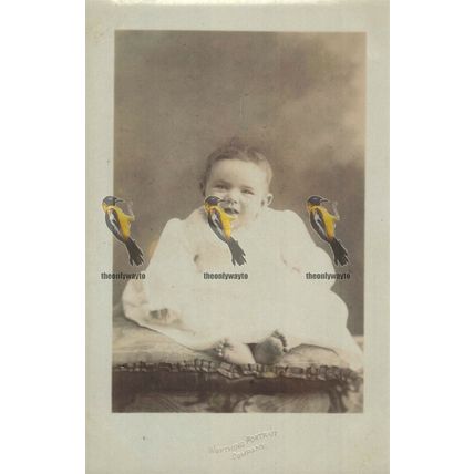 Eric Ernest Brown 5 Months, 118 Worthing Portrait Co, RP Social History Postcard