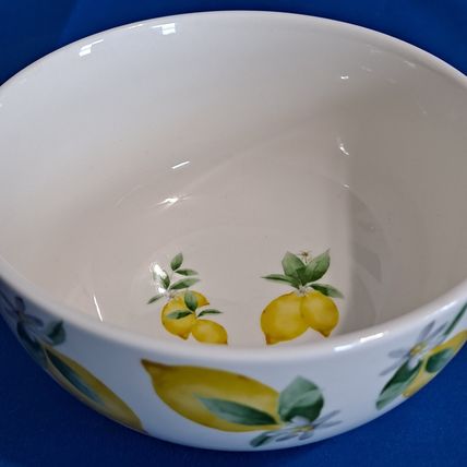 Lot 4 Royal Norfolk LEMON 6" SOUP BOWLS Cereal Citrus Fruit