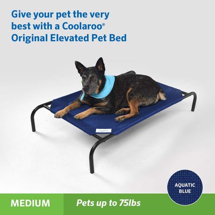 Coolaroo Original Elevated Dog Bed - Breathable Off-The-Ground Pet Bed with Cool