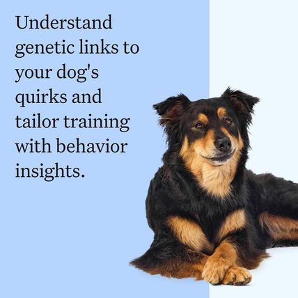 Wisdom Panel Breed Discovery Dog DNA Kit: Most Accurate Dog Breed Identification